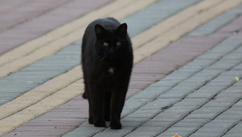 25-28 мая в истории и архиве "ВК"