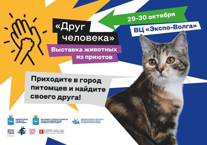 Выставка животных из приютов пройдет в Самаре 29 и 30 октября