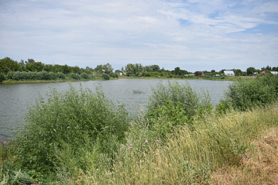 В селе Утевка Нефтегорского района благодаря активным жителям спасено озеро Приказное