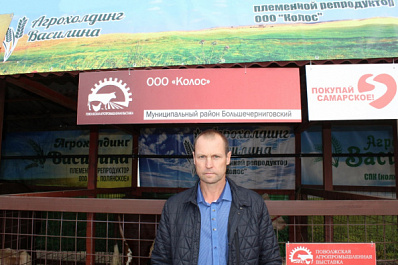 Во весь "Колос": влагосберегающие технологии обеспечили полновесный урожай