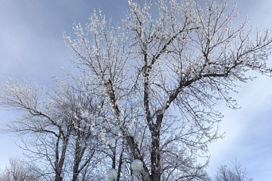 В Самарской области март будет теплее, чем обычно