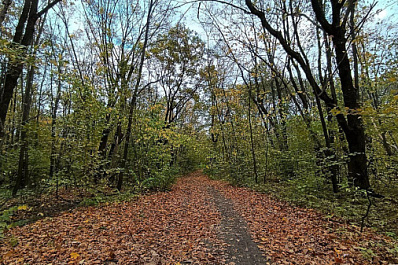 Народные приметы на 17 октября 2025 года: что нельзя делать в этот день