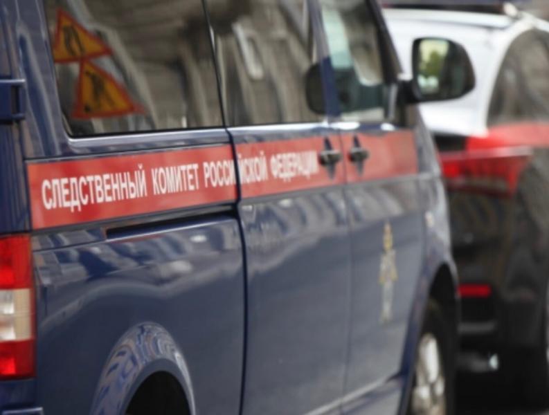 СК начал проверку гибели жительницы Новокуйбышевска и ее 5-летнего внука