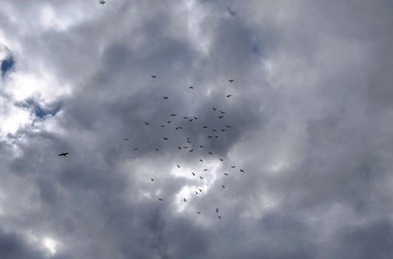 В Самарской области 9 октября будет тепло и пасмурно