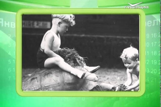 Календарь губернии 9.06.2015 