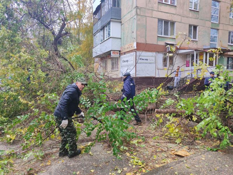 В Самарской области мужчину насмерть придавило деревом из-за сильного ветра