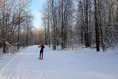 Название статьи