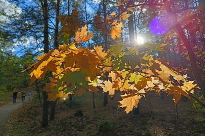 Название статьи