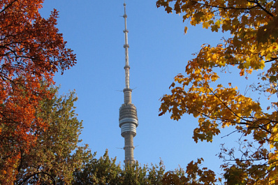 5 ноября: праздники сегодня