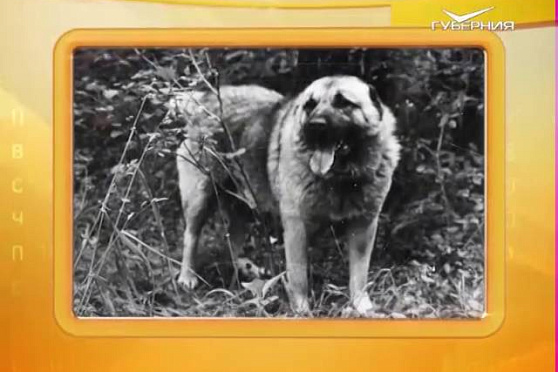 Календарь губернии 17.10.2016