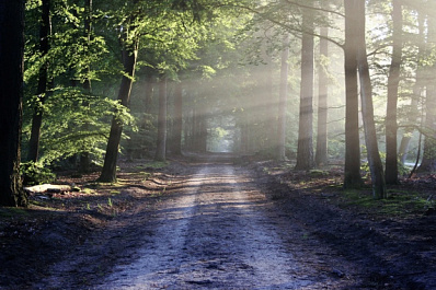 В Самарской области объявили штормовое предупреждение из-за пожарной опасности
