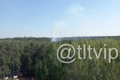 В Тольятти 15 июля горел лес на площади 840 кв. м
