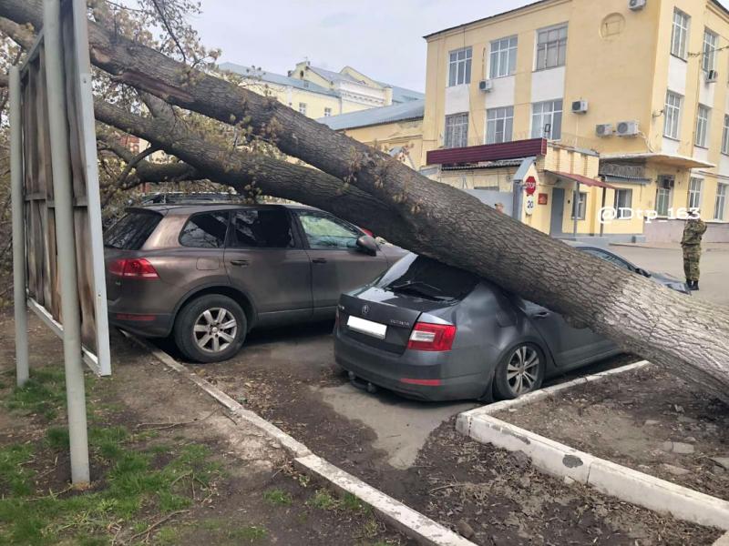 В Самаре на Карла Маркса дерево рухнуло на машину