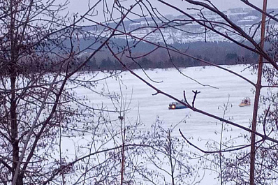 В нацпарке "Самарская Лука" спасли лосёнка