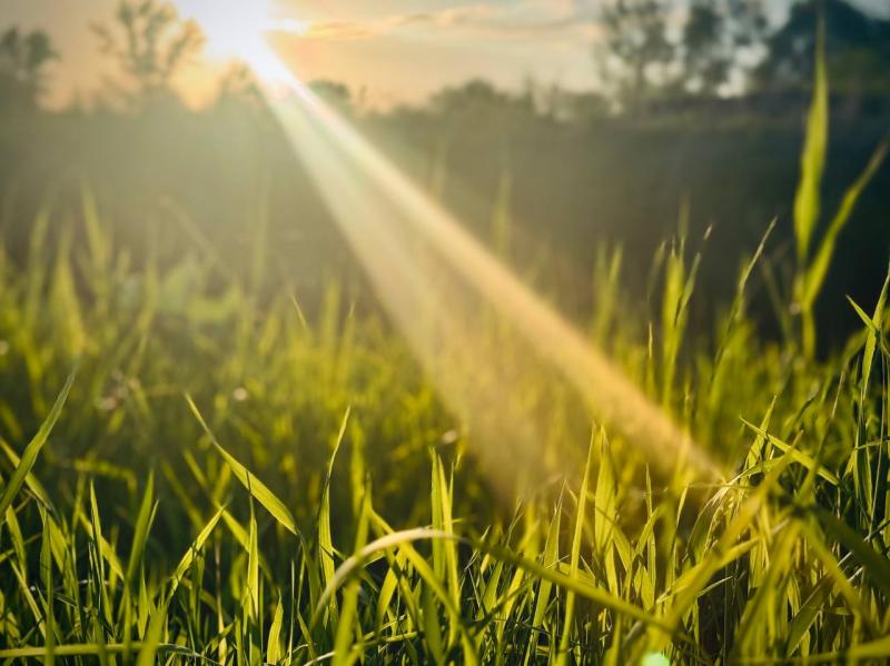 Народные приметы на 5 августа 2025 года: что нельзя делать в этот день 