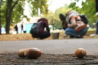 Самарцев приглашают собирать желуди в парке им. Гагарина