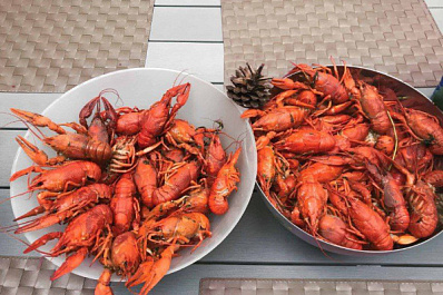 В День туризма в Самаре откроется гастрономический фестиваль