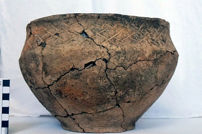 Археологи нашли в Самарской области 14 погребений бронзового века 