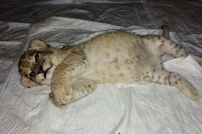 Название статьи