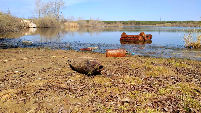 Специалисты проверят, почему в водоеме в Тольятти массово погибла рыба