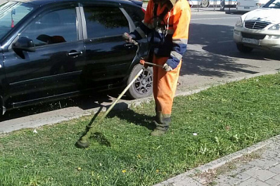 В Самаре ежедневно более 500 человек косят траву