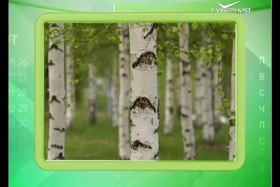 Календарь губернии 11.04.2016