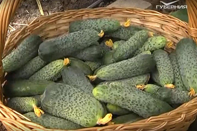 В Самарской области подорожали огурцы, рис и мясные консервы