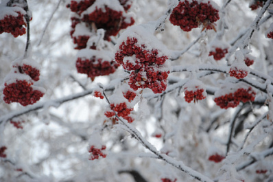 В Самарской области ударят настоящие морозы