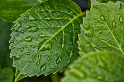 В Самарской области дожди, грозы и град задержатся на два дня