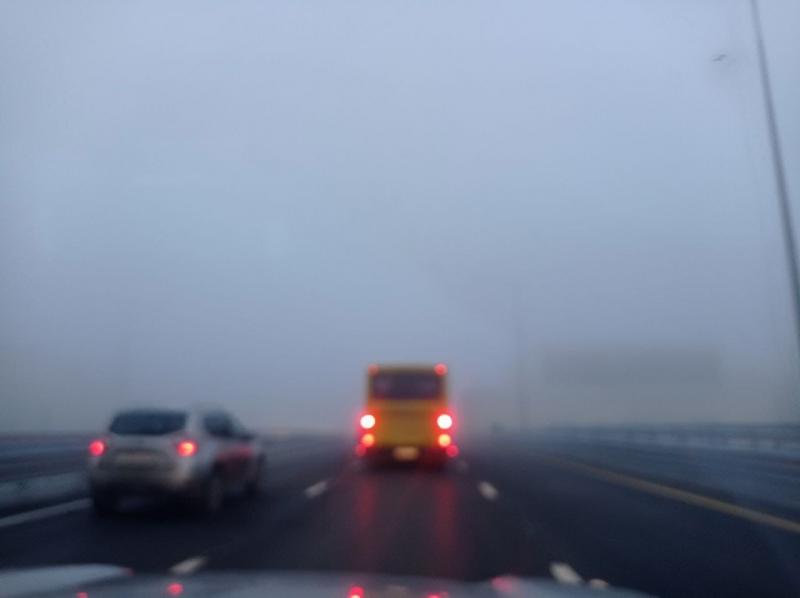 Самарскую область окутает густой туман с видимостью менее 500 м