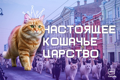 Фоторепортаж из 