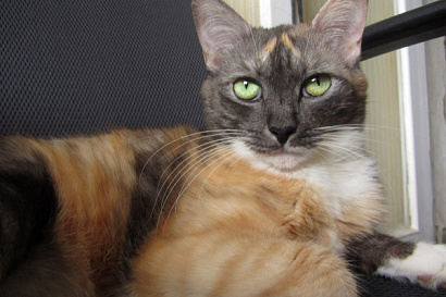 Название статьи