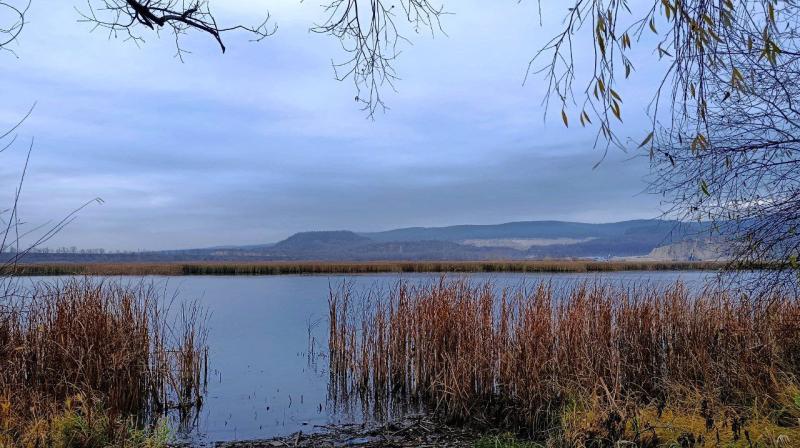 В Самарской области вода в Волге остыла до 11,2 °С