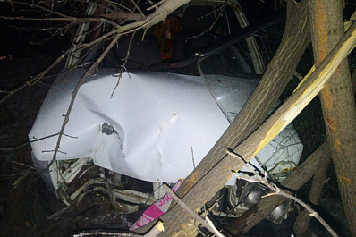 Под Самарой пьяная женщина на ВАЗе врезалась в дерево