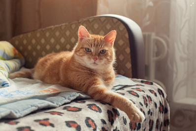 Самарцы рассказали, что поможет отказаться от спешки