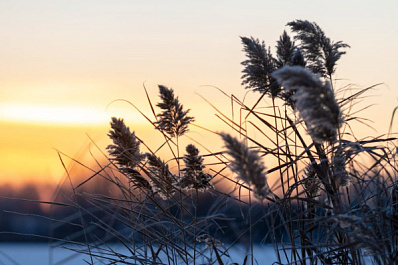 Погода на 26 января 2025 года: народные приметы и прогноз синоптиков