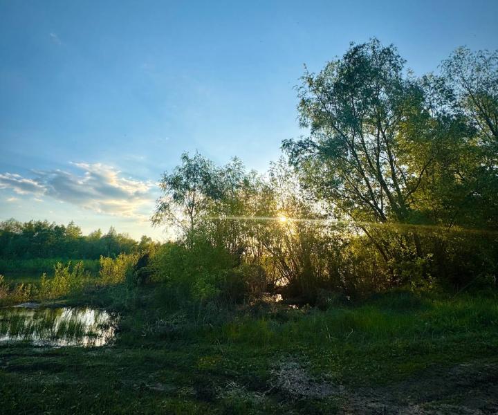 Ветераны СВО восстановили родник у села Коханы