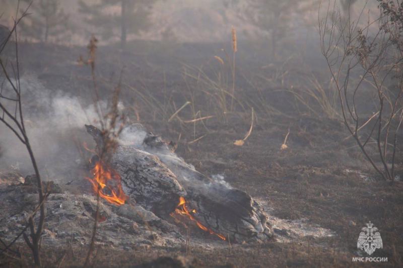 В Самарской области за сутки произошло 17 пожаров из-за пала сухой травы