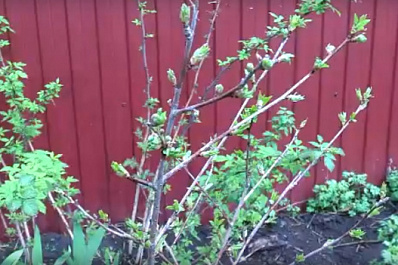 В Самарской области около 1 млн человек получают различные меры поддержки