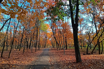 Название статьи