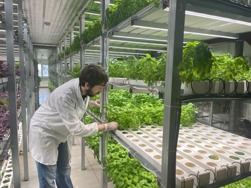 В Самарской области провели оценку 10 000 нормативных актов по их воздействию на бизнес 