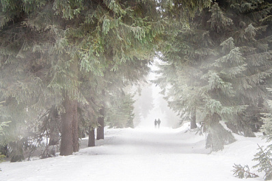 В пятницу самарцев ждут туман, мороз и гололедица