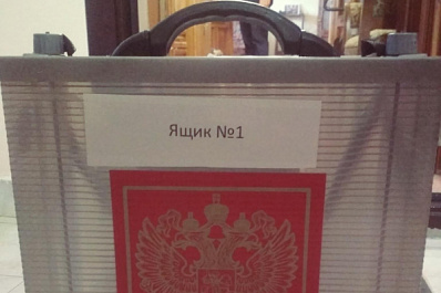 Лидер самарских общественников проголосовал по поправкам в Конституцию на дому