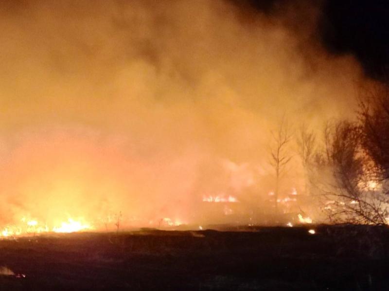 В Самарской области полыхала трава на 800 "квадратах"