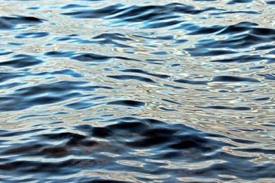 В Хворостянском районе собираются дать новую жизнь озеру в райцентре 