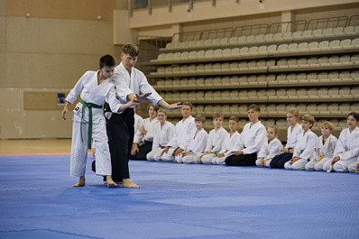 Жители Самарской области от пяти до 70 лет прошли обучение у сэнсэев айкидо