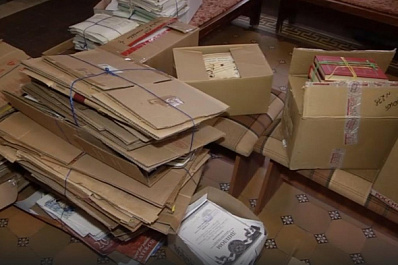 "Возродим лес": акция по сбору макулатуры поможет восстановить лесные массивы в Борском районе