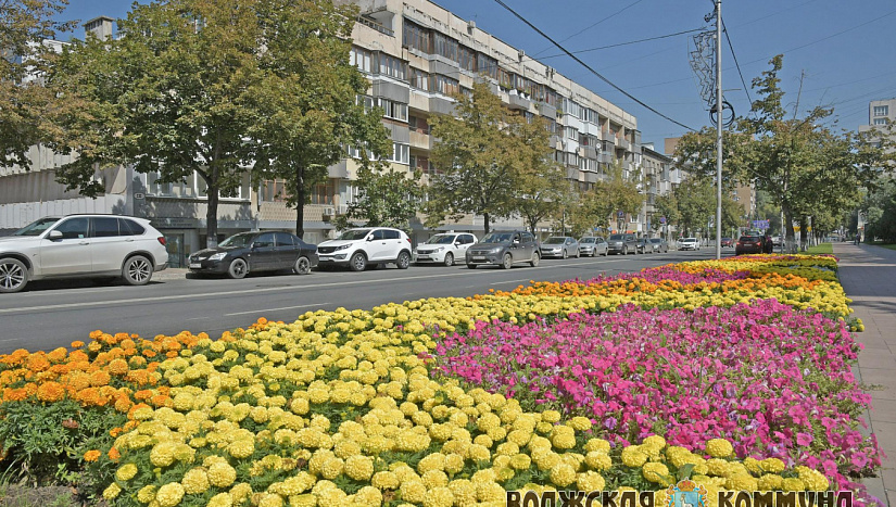 14 августа в истории и архиве "ВК"