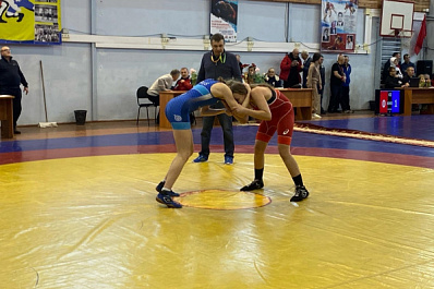 В Тольятти состоятся соревнования по вольной борьбе в память о первых тренерах