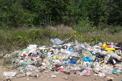 Тольяттинцы провели субботник на полуострове Копылово